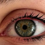 pexels-leah-fraser-1667753370-27773382